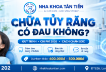  Chữa Tủy Răng Có Đau Không? Bảng Giá 2026 Tại Cần Đước